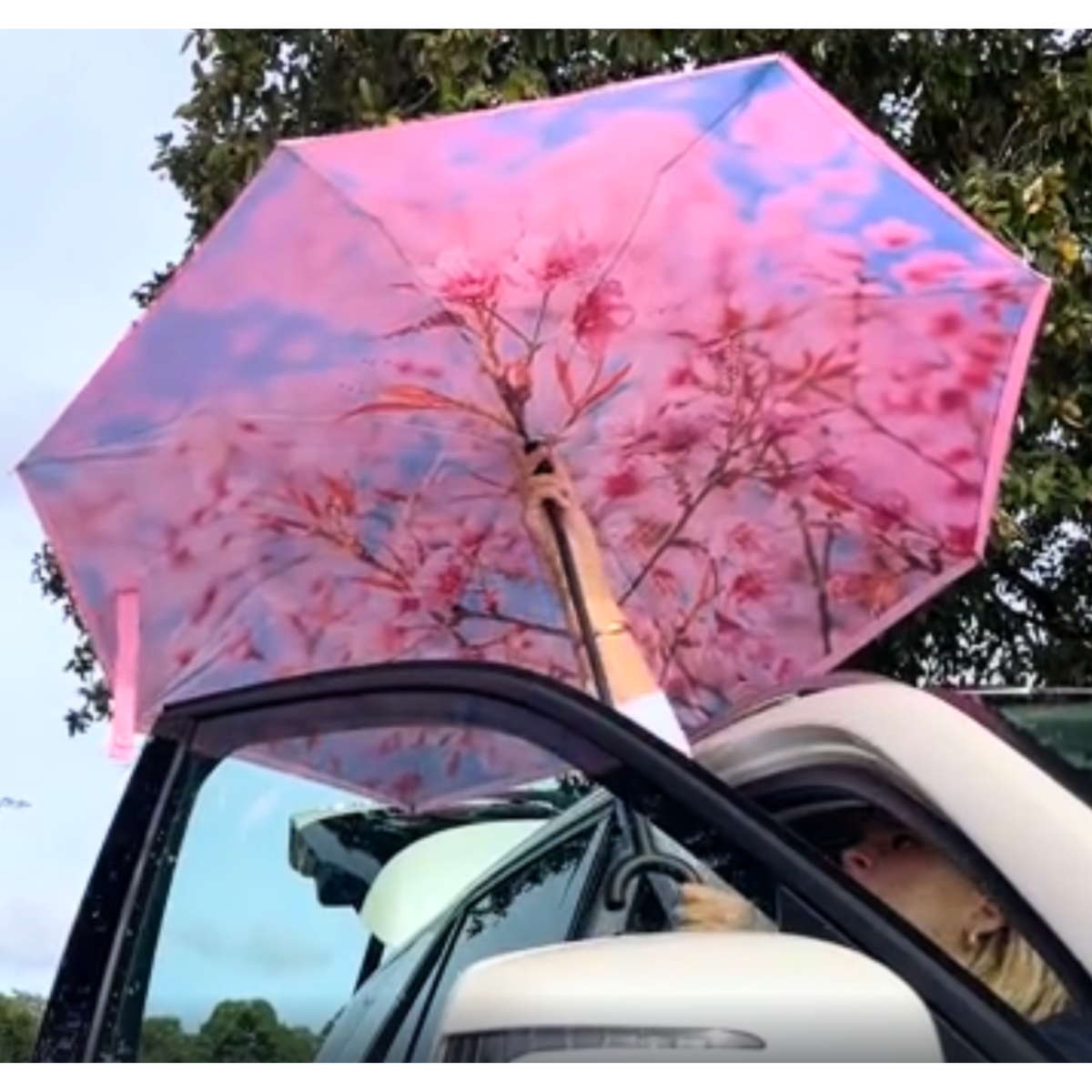 reverse umbrella getting into car