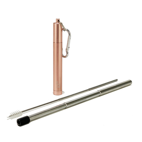 IOco Expandable Straw with Case and Cleaner - Rose Gold
