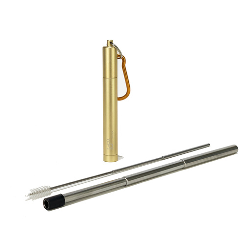 IOco Expandable Straw with Case and Cleaner - Gold