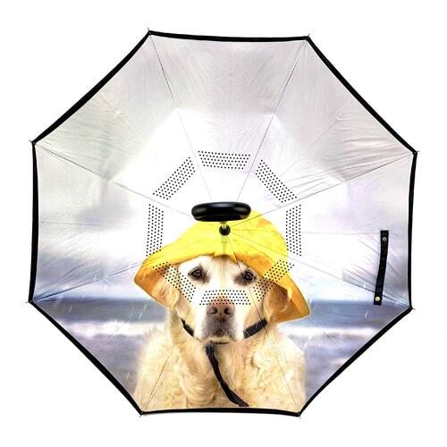 IOco Reverse Umbrella - Rain Dog
